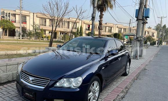 Tenga Tsaru Toyota Mark X Nhema Mota in Beitbridge in Matabeleland South Tenga Tsaru Toyota Mark X Nhema Mota in Beitbridge in Matabeleland South