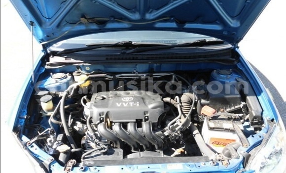 Tenga Tsaru Toyota Runx Bhuruu Mota in Beitbridge in Matabeleland South Tenga Tsaru Toyota Runx Bhuruu Mota in Beitbridge in Matabeleland South