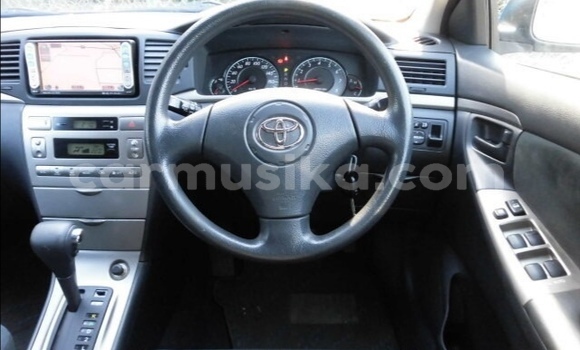 Tenga Tsaru Toyota Runx Bhuruu Mota in Beitbridge in Matabeleland South Tenga Tsaru Toyota Runx Bhuruu Mota in Beitbridge in Matabeleland South