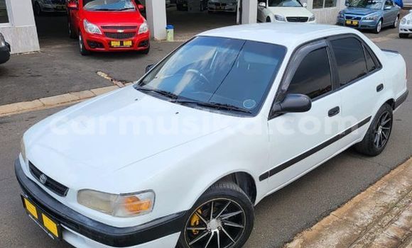 Nunua Ilio tumika Toyota Corolla Nyeupe Gari ndani ya Beitbridge nchini Matabeleland Kusini