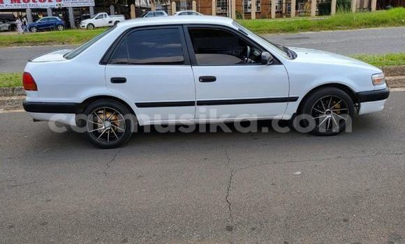 Acheter Occasion Voiture Toyota Corolla Blanc à Beitbridge, Matabeleland South Acheter Occasion Voiture Toyota Corolla Blanc à Beitbridge, Matabeleland South