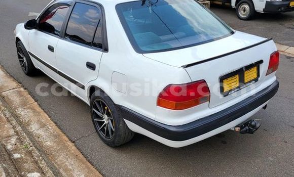 Acheter Occasion Voiture Toyota Corolla Blanc à Beitbridge, Matabeleland South Acheter Occasion Voiture Toyota Corolla Blanc à Beitbridge, Matabeleland South