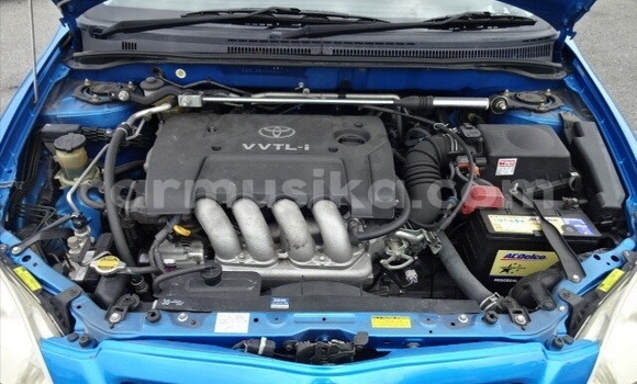 Acheter Occasion Voiture Toyota Runx Bleu à Beitbridge, Matabeleland South Acheter Occasion Voiture Toyota Runx Bleu à Beitbridge, Matabeleland South