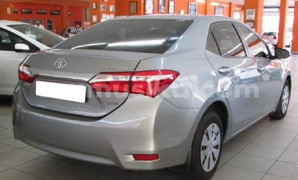 Acheter Occasion Voiture Toyota Corolla Gris à Beitbridge, Matabeleland South Acheter Occasion Voiture Toyota Corolla Gris à Beitbridge, Matabeleland South