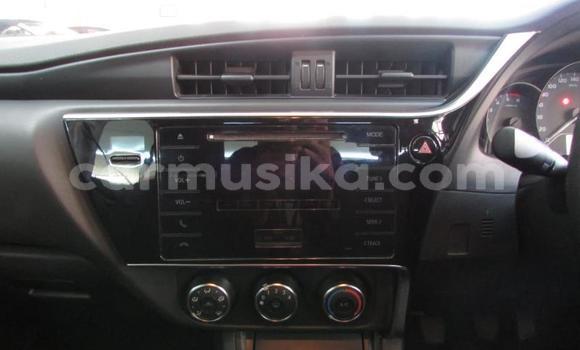 Acheter Occasion Voiture Toyota Corolla Gris à Beitbridge, Matabeleland South Acheter Occasion Voiture Toyota Corolla Gris à Beitbridge, Matabeleland South