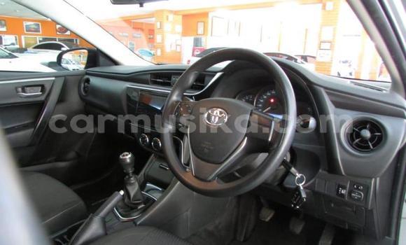 Acheter Occasion Voiture Toyota Corolla Gris à Beitbridge, Matabeleland South Acheter Occasion Voiture Toyota Corolla Gris à Beitbridge, Matabeleland South