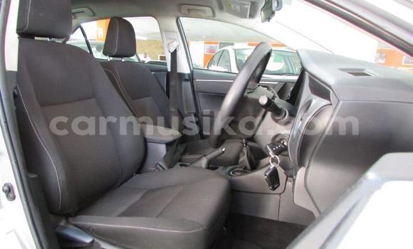 Acheter Occasion Voiture Toyota Corolla Gris à Beitbridge, Matabeleland South Acheter Occasion Voiture Toyota Corolla Gris à Beitbridge, Matabeleland South