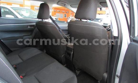 Acheter Occasion Voiture Toyota Corolla Gris à Beitbridge, Matabeleland South Acheter Occasion Voiture Toyota Corolla Gris à Beitbridge, Matabeleland South