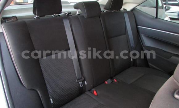 Acheter Occasion Voiture Toyota Corolla Gris à Beitbridge, Matabeleland South Acheter Occasion Voiture Toyota Corolla Gris à Beitbridge, Matabeleland South