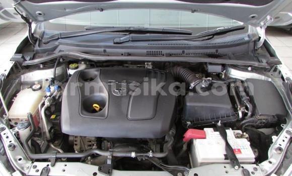 Acheter Occasion Voiture Toyota Corolla Gris à Beitbridge, Matabeleland South Acheter Occasion Voiture Toyota Corolla Gris à Beitbridge, Matabeleland South