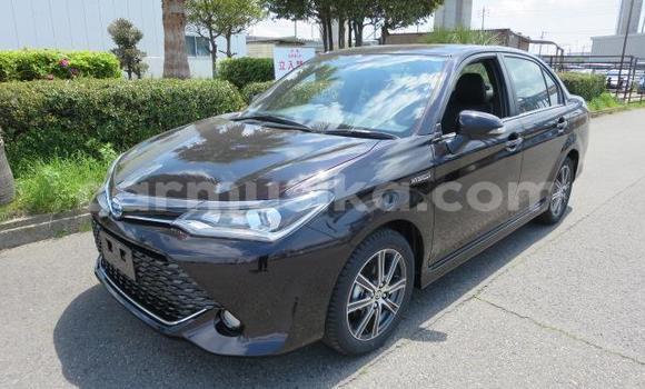 Buy Used Toyota Axio Other Car in Beitbridge in Matabeleland South