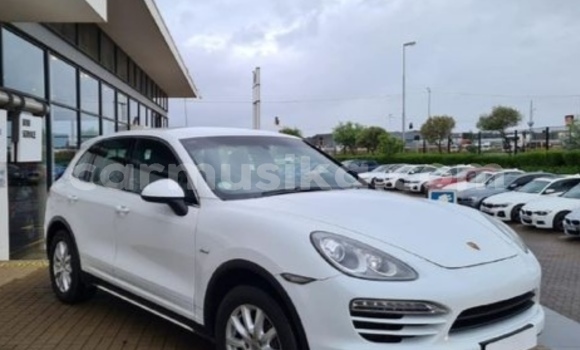 Tenga Tsaru Porsche Cayenne Chena Mota in Beitbridge in Matabeleland South