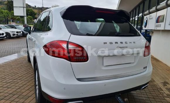 Tenga Tsaru Porsche Cayenne Chena Mota in Beitbridge in Matabeleland South Tenga Tsaru Porsche Cayenne Chena Mota in Beitbridge in Matabeleland South