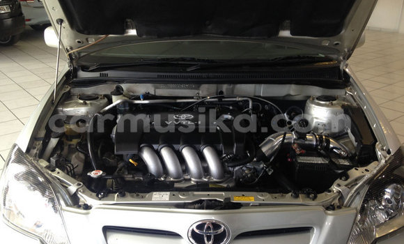 Buy Used Toyota Runx Silver Car in Bulawayo in Bulawayo Buy Used Toyota Runx Silver Car in Bulawayo in Bulawayo