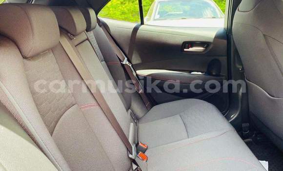 Tenga Tsaru Toyota Corolla Zvimwe Mota in Harare in Harare Tenga Tsaru Toyota Corolla Zvimwe Mota in Harare in Harare