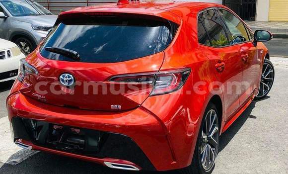 Tenga Tsaru Toyota Corolla Zvimwe Mota in Harare in Harare Tenga Tsaru Toyota Corolla Zvimwe Mota in Harare in Harare
