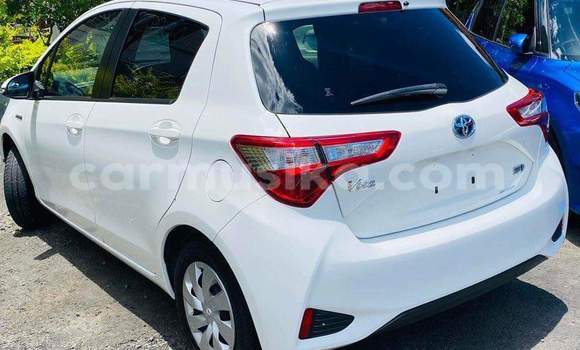 Tenga Tsaru Toyota Vitz Chena Mota in Harare in Harare Tenga Tsaru Toyota Vitz Chena Mota in Harare in Harare