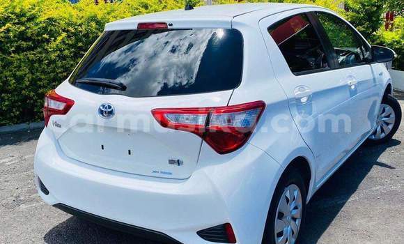 Tenga Tsaru Toyota Vitz Chena Mota in Harare in Harare Tenga Tsaru Toyota Vitz Chena Mota in Harare in Harare