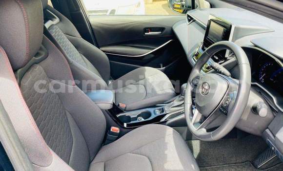 Tenga Tsaru Toyota Corolla Nhema Mota in Harare in Harare Tenga Tsaru Toyota Corolla Nhema Mota in Harare in Harare