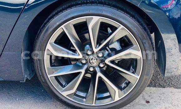 Tenga Tsaru Toyota Corolla Nhema Mota in Harare in Harare Tenga Tsaru Toyota Corolla Nhema Mota in Harare in Harare