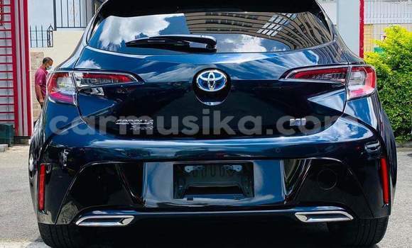Tenga Tsaru Toyota Corolla Nhema Mota in Harare in Harare Tenga Tsaru Toyota Corolla Nhema Mota in Harare in Harare