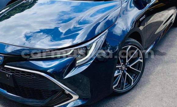 Tenga Tsaru Toyota Corolla Nhema Mota in Harare in Harare Tenga Tsaru Toyota Corolla Nhema Mota in Harare in Harare