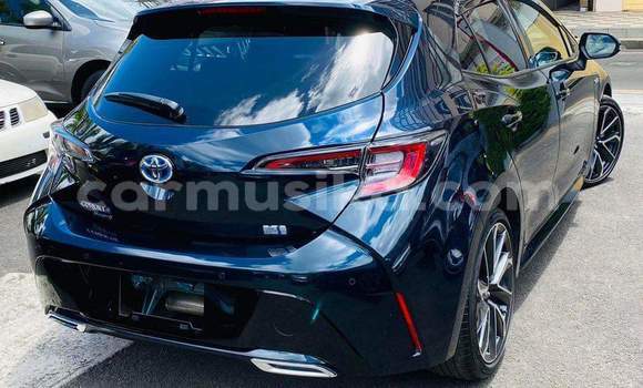 Tenga Tsaru Toyota Corolla Nhema Mota in Harare in Harare Tenga Tsaru Toyota Corolla Nhema Mota in Harare in Harare