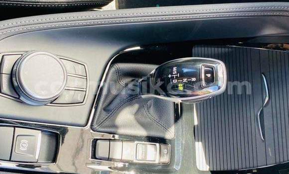 Tenga Tsaru BMW X2 Nhema Mota in Harare in Harare Tenga Tsaru BMW X2 Nhema Mota in Harare in Harare