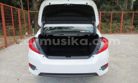 Tenga Tsaru Honda Civic Chena Mota in Harare in Harare Tenga Tsaru Honda Civic Chena Mota in Harare in Harare