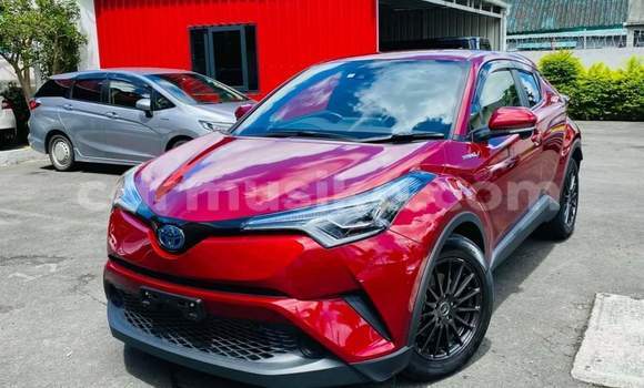 Tenga Tsaru Toyota C-HR Tsvuku Mota in Beitbridge in Matabeleland South