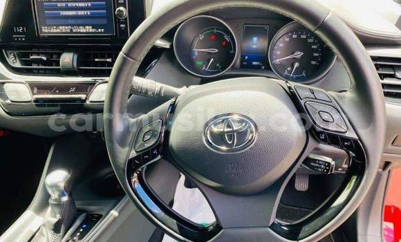 Tenga Tsaru Toyota C-HR Tsvuku Mota in Beitbridge in Matabeleland South Tenga Tsaru Toyota C-HR Tsvuku Mota in Beitbridge in Matabeleland South