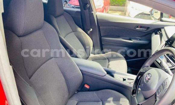 Tenga Tsaru Toyota C-HR Tsvuku Mota in Beitbridge in Matabeleland South Tenga Tsaru Toyota C-HR Tsvuku Mota in Beitbridge in Matabeleland South