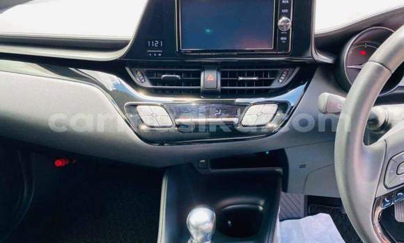 Tenga Tsaru Toyota C-HR Tsvuku Mota in Beitbridge in Matabeleland South Tenga Tsaru Toyota C-HR Tsvuku Mota in Beitbridge in Matabeleland South