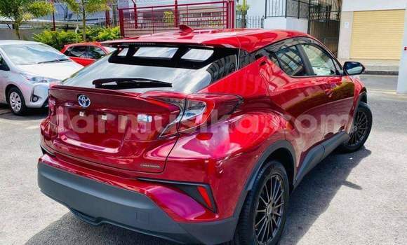 Tenga Tsaru Toyota C-HR Tsvuku Mota in Beitbridge in Matabeleland South Tenga Tsaru Toyota C-HR Tsvuku Mota in Beitbridge in Matabeleland South