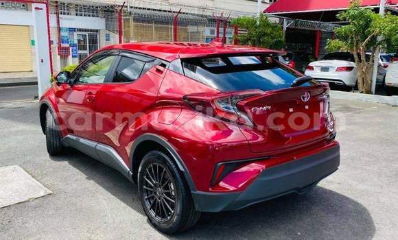 Tenga Tsaru Toyota C-HR Tsvuku Mota in Beitbridge in Matabeleland South Tenga Tsaru Toyota C-HR Tsvuku Mota in Beitbridge in Matabeleland South