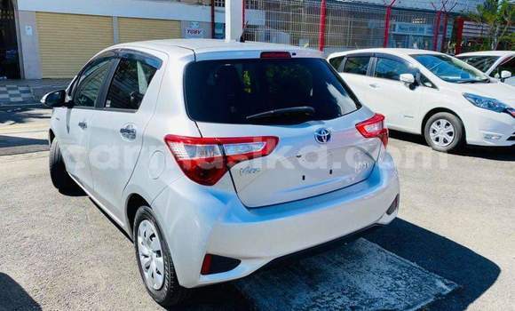 Tenga Tsaru Toyota Vitz Sirivha Mota in Beitbridge in Matabeleland South Tenga Tsaru Toyota Vitz Sirivha Mota in Beitbridge in Matabeleland South