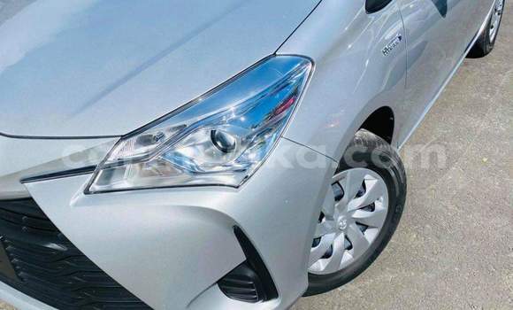 Tenga Tsaru Toyota Vitz Sirivha Mota in Beitbridge in Matabeleland South Tenga Tsaru Toyota Vitz Sirivha Mota in Beitbridge in Matabeleland South