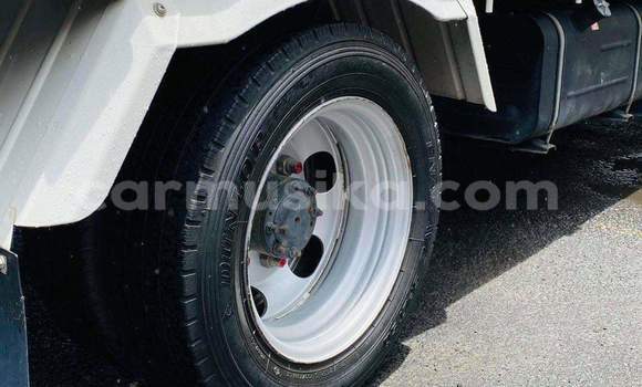 Tenga Tsaru Toyota Dyna Chena Rori in Beitbridge in Matabeleland South Tenga Tsaru Toyota Dyna Chena Rori in Beitbridge in Matabeleland South