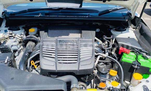 Tenga Tsaru Subaru Impreza WRX Chena Mota in Beitbridge in Matabeleland South Tenga Tsaru Subaru Impreza WRX Chena Mota in Beitbridge in Matabeleland South