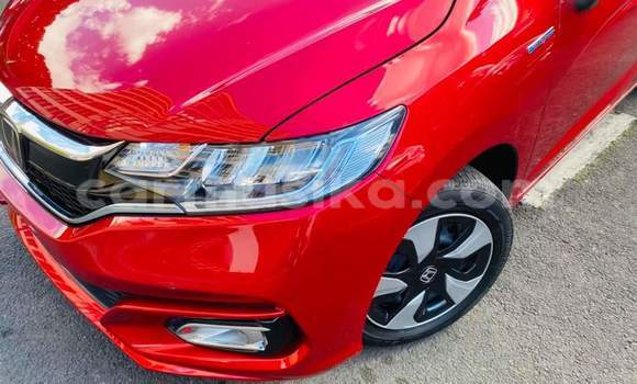 Buy Used Honda Fit Red Car in Borrowdale in Harare Buy Used Honda Fit Red Car in Borrowdale in Harare