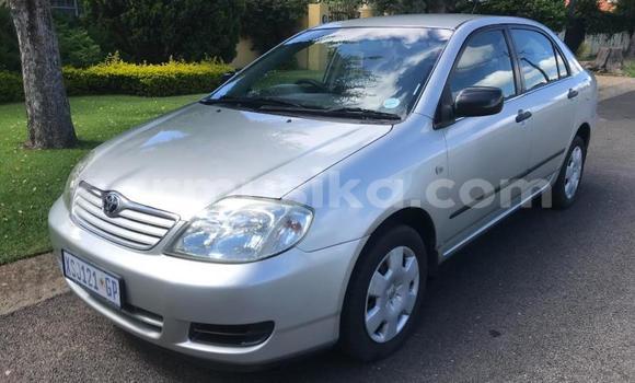 Buy Used Toyota Corolla Silver Car in Beitbridge in Matabeleland South