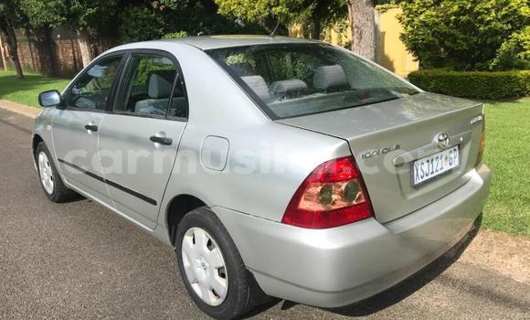 Acheter Occasion Voiture Toyota Corolla Gris à Beitbridge, Matabeleland South Acheter Occasion Voiture Toyota Corolla Gris à Beitbridge, Matabeleland South