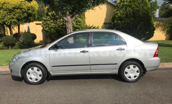 Acheter Occasion Voiture Toyota Corolla Gris à Beitbridge, Matabeleland South Acheter Occasion Voiture Toyota Corolla Gris à Beitbridge, Matabeleland South