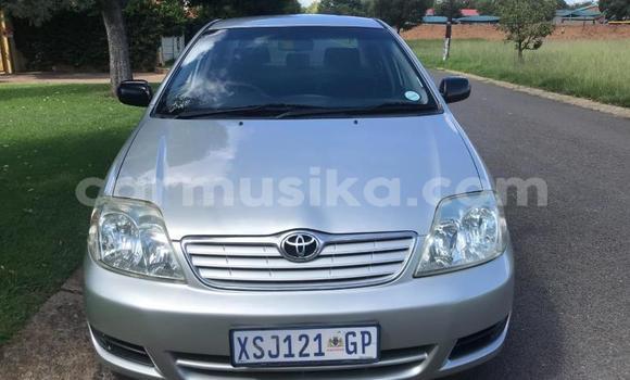 Acheter Occasion Voiture Toyota Corolla Gris à Beitbridge, Matabeleland South Acheter Occasion Voiture Toyota Corolla Gris à Beitbridge, Matabeleland South