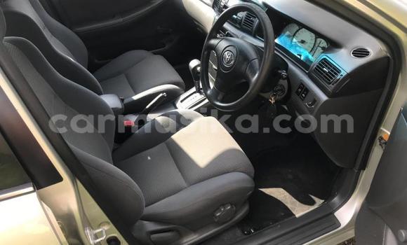 Acheter Occasion Voiture Toyota Corolla Gris à Beitbridge, Matabeleland South Acheter Occasion Voiture Toyota Corolla Gris à Beitbridge, Matabeleland South