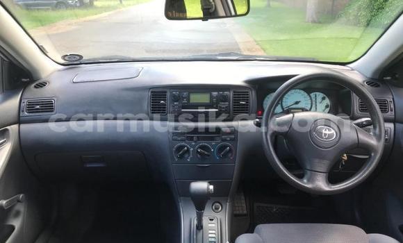 Acheter Occasion Voiture Toyota Corolla Gris à Beitbridge, Matabeleland South Acheter Occasion Voiture Toyota Corolla Gris à Beitbridge, Matabeleland South