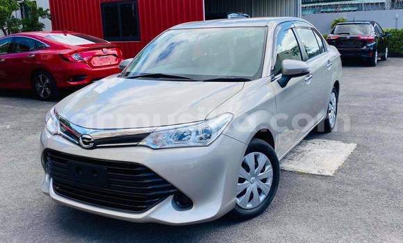 Acheter Occasion Voiture Toyota Corolla Gris à Beitbridge, Matabeleland South
