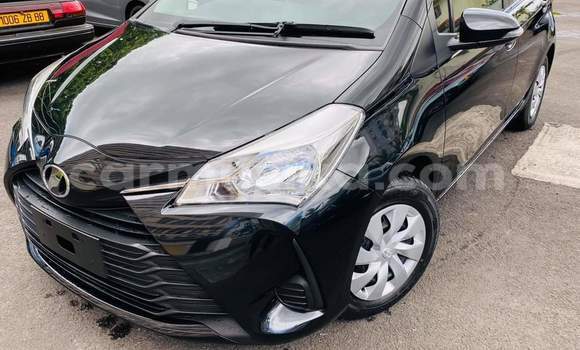 Buy Used Toyota Vitz Black Car in Beitbridge in Matabeleland South Buy Used Toyota Vitz Black Car in Beitbridge in Matabeleland South