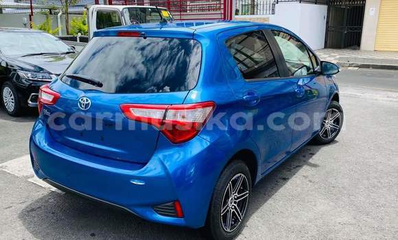 Tenga Tsaru Toyota Vitz Bhuruu Mota in Harare in Harare Tenga Tsaru Toyota Vitz Bhuruu Mota in Harare in Harare