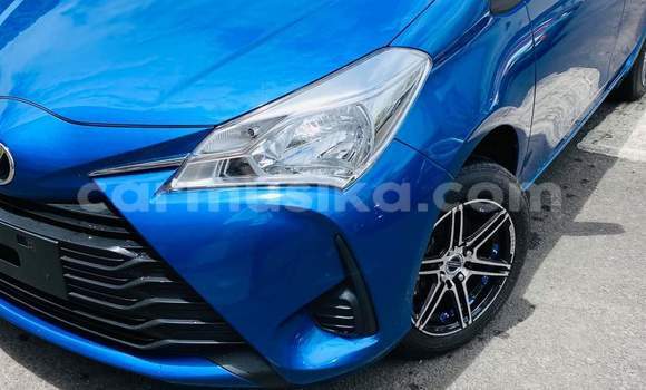 Tenga Tsaru Toyota Vitz Bhuruu Mota in Harare in Harare Tenga Tsaru Toyota Vitz Bhuruu Mota in Harare in Harare